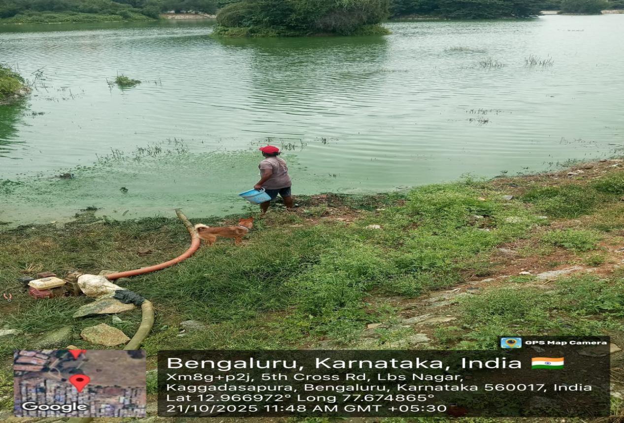 Vibhuthipura Lake Bio-Remediation — after