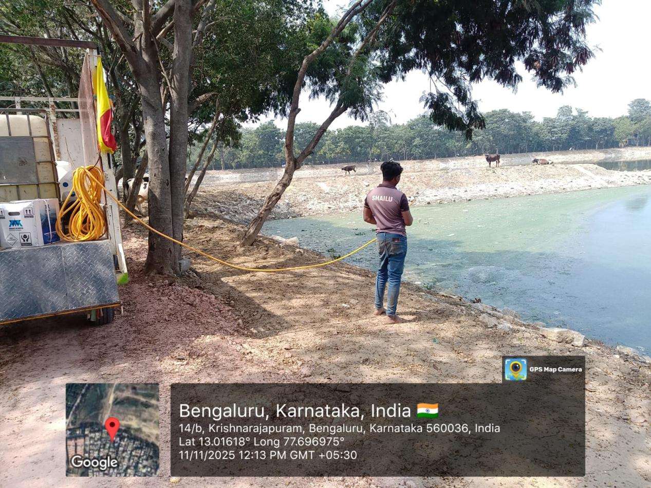 Venghainakere Lake Bio-Remediation — after