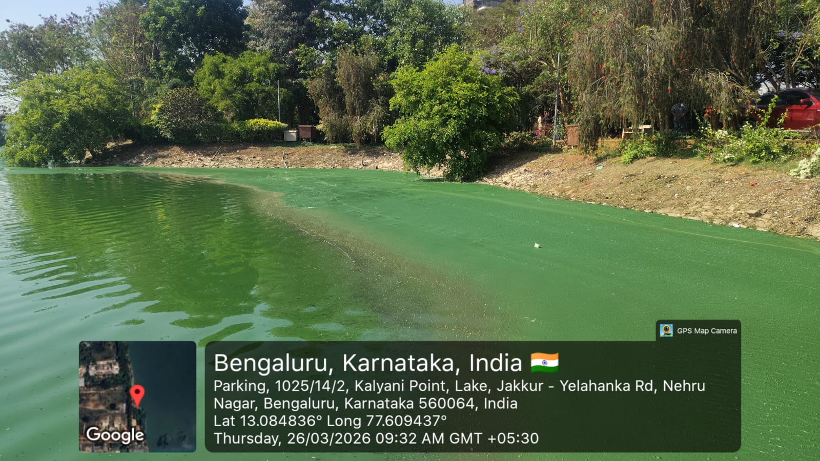 Jakkur Lake Bio-Remediation — before