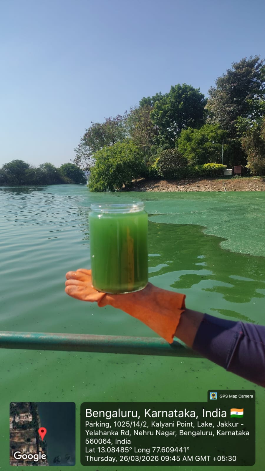 Jakkur Lake Bio-Remediation — after